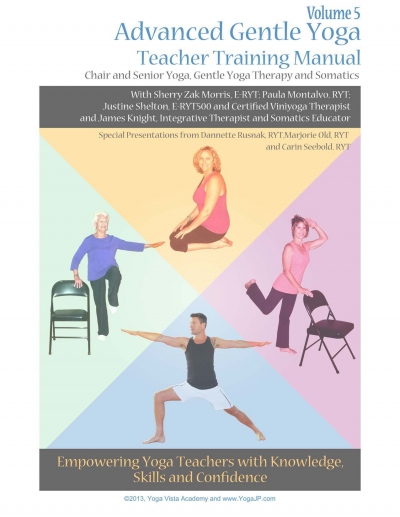 Teachers Advanced Gentle Senior And Chair Yoga Training Manual