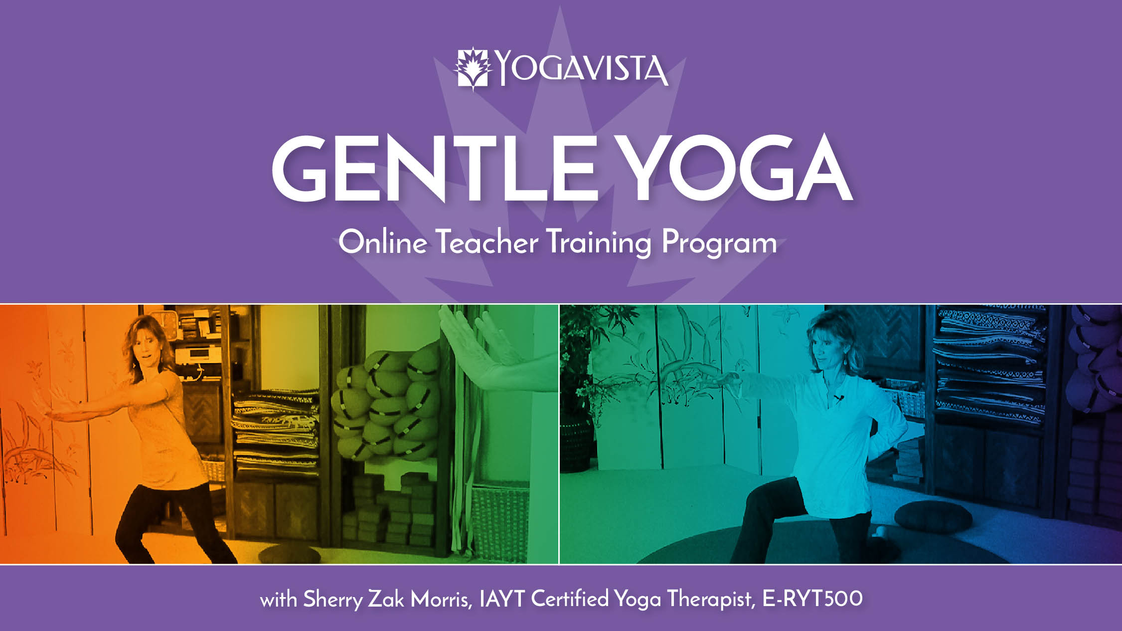 Online Gentle Yoga Teacher Training Program with Sherry Zak Morris