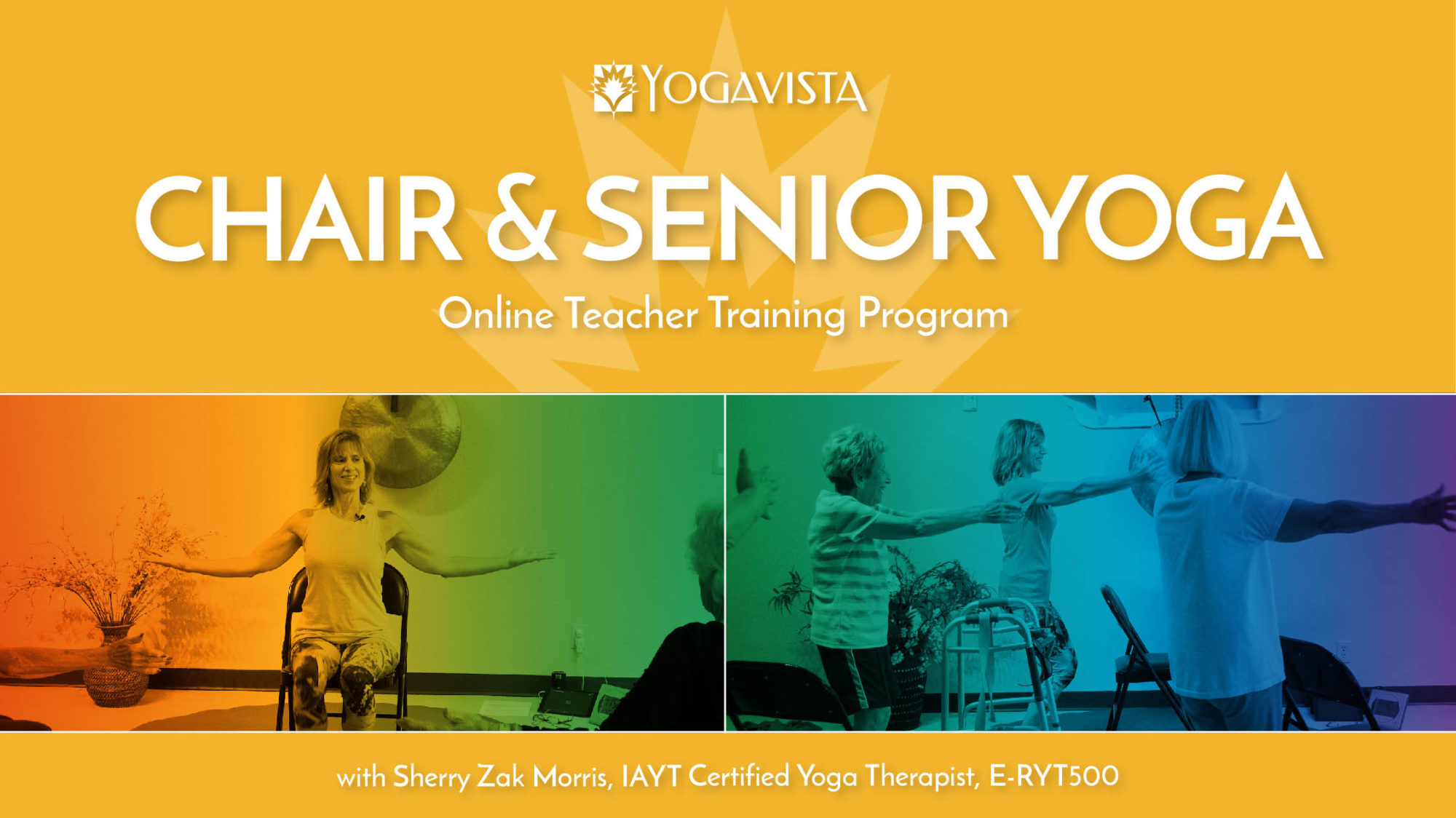 Certification and Credential Module Chair Yoga Yoga Vista Academy