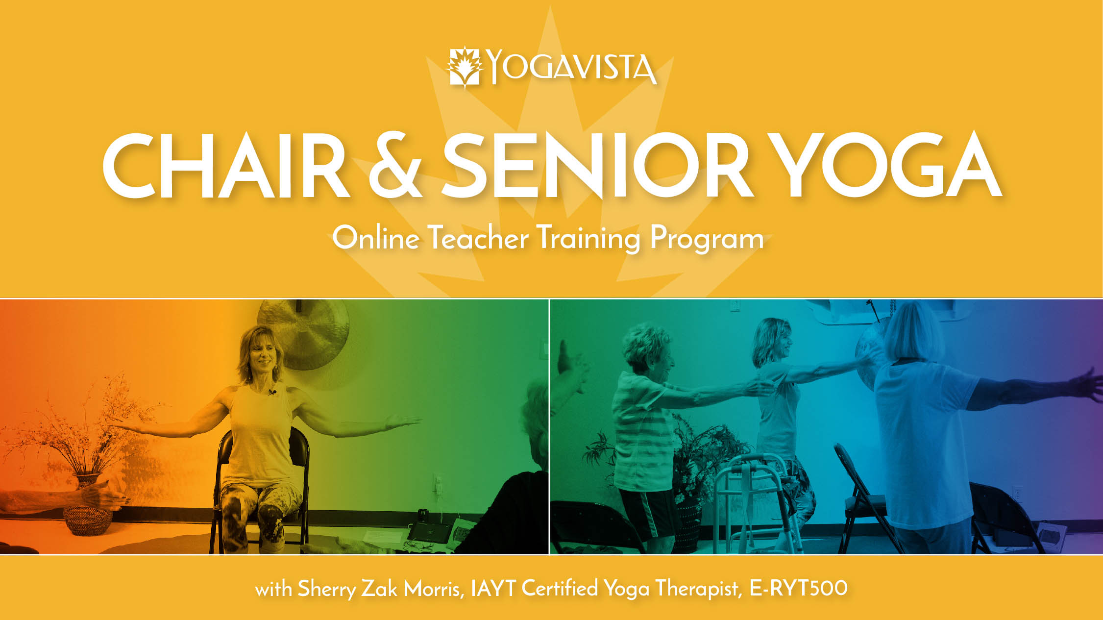 Chair Yoga Online Teacher Training Program Yoga Vista Academy