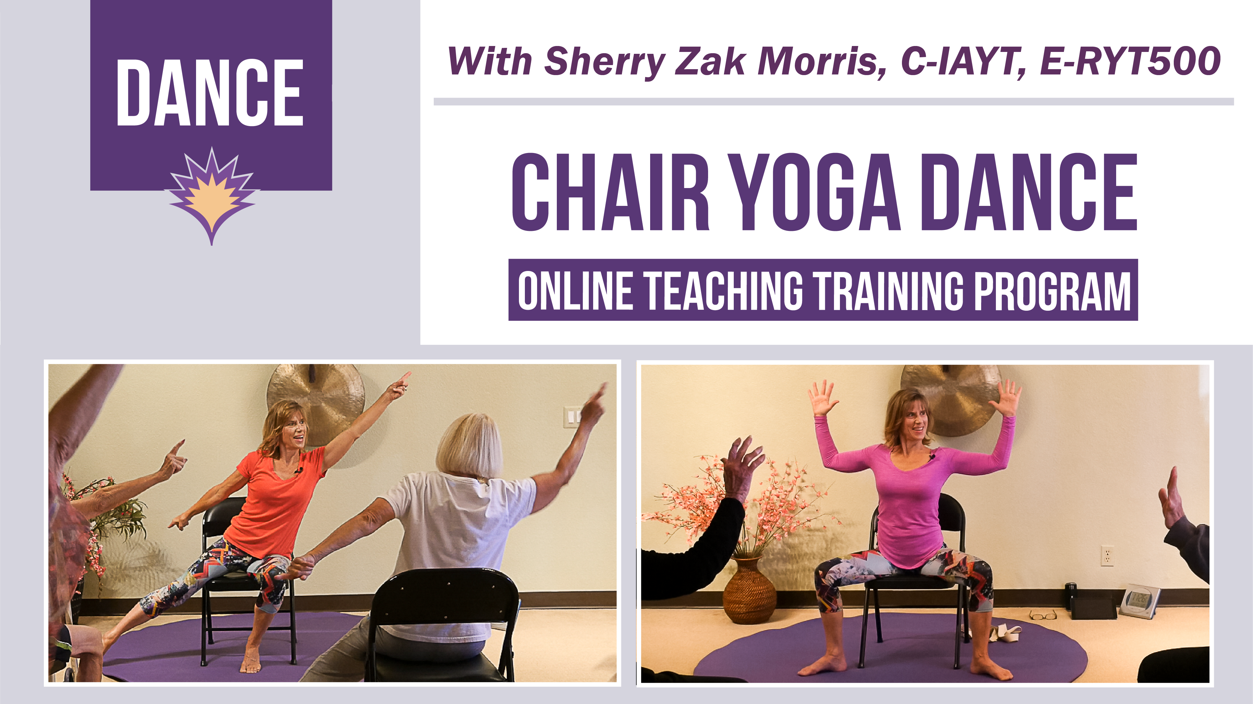 Certification and Credential Module Chair Yoga Dance Yoga Vista Academy