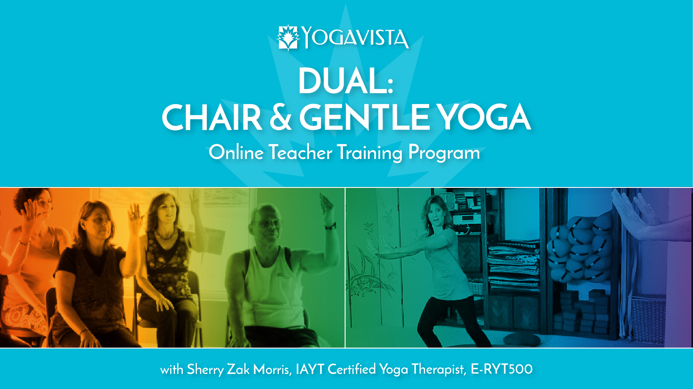 Dual: Chair & Gentle Yoga - Online Teacher Training Program - Yoga Vista  Academy