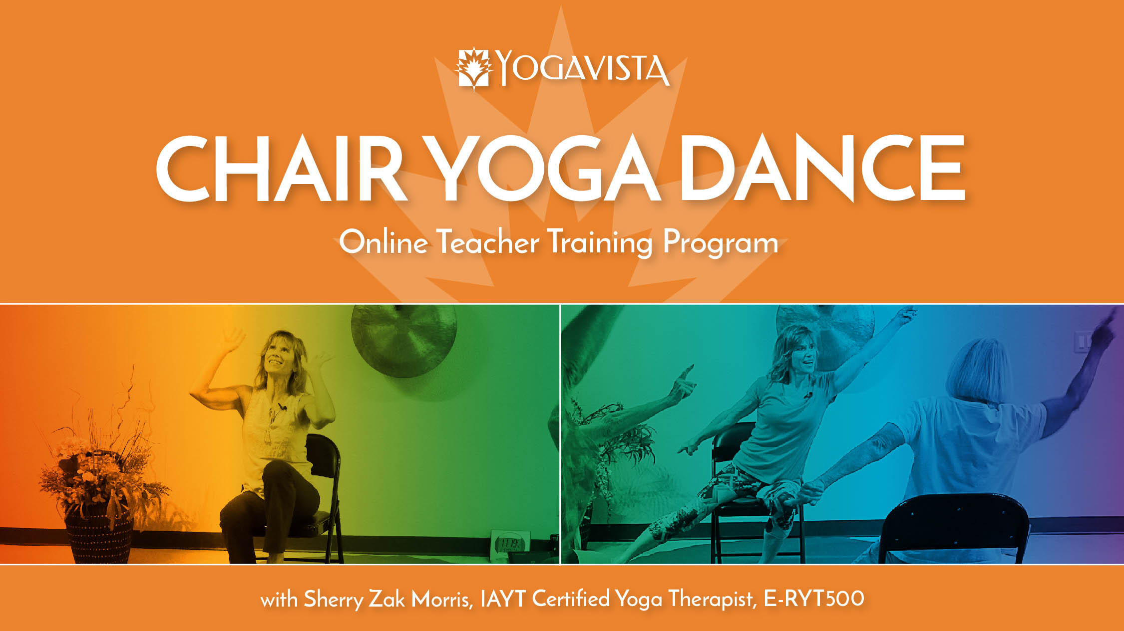 Online Chair Yoga Dance Teacher Training Program with Sherry Zak Morris