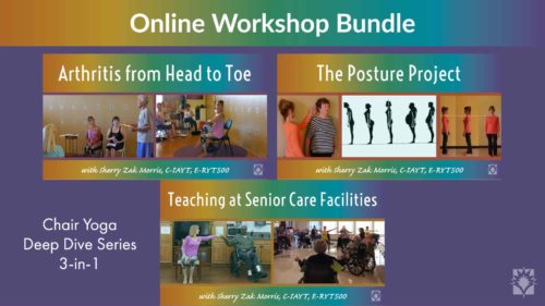 Chair Yoga Essentials: Online Workshop Series